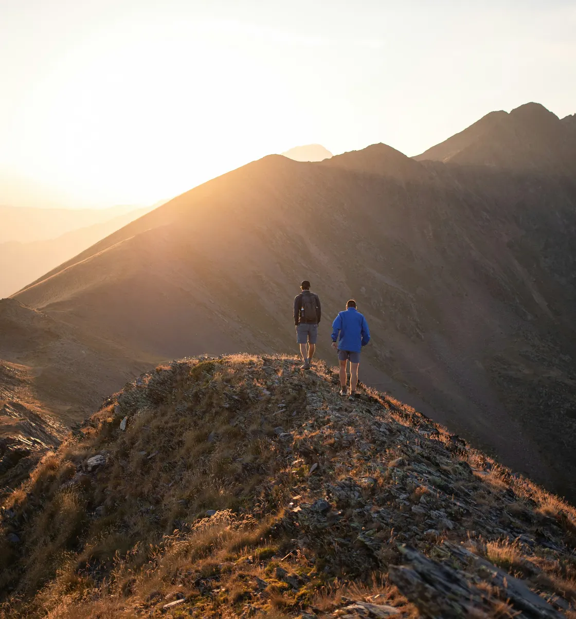Preview of the Alpine Spine chiropractor demo website